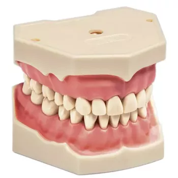 Frasaco jaws AG3 Image