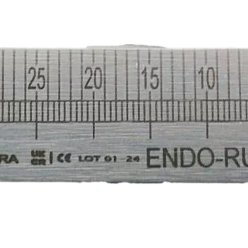 Endodontic Ruler Image